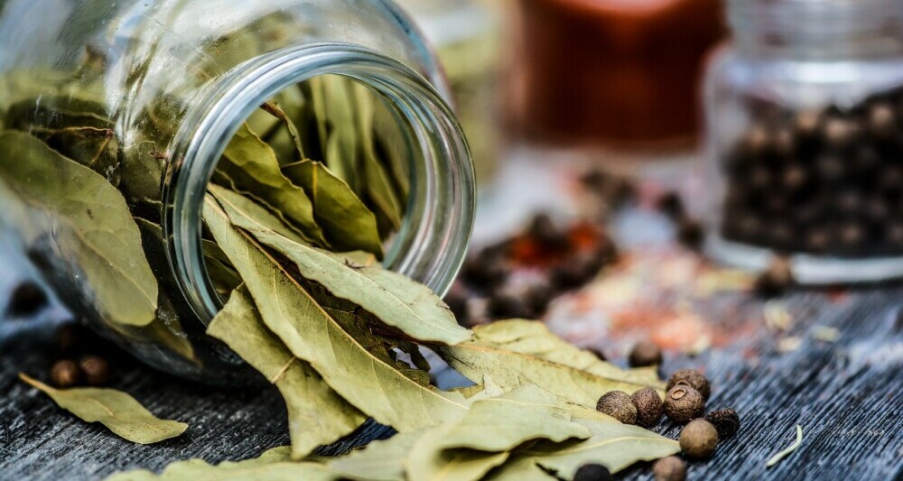 bay leaves herbs spices list