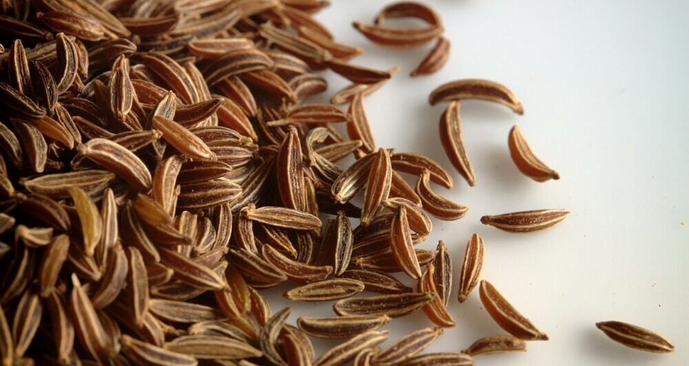 caraway seeds herbs spices list