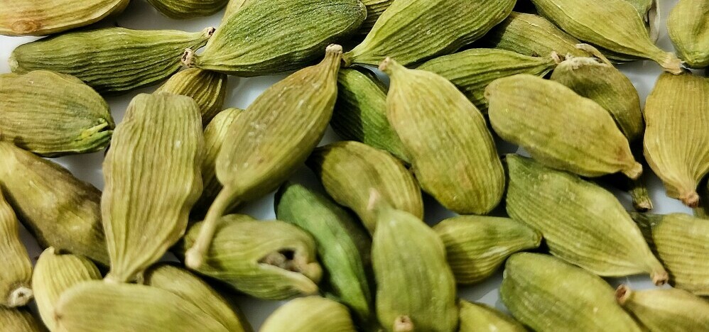 cardamom herbs spices list