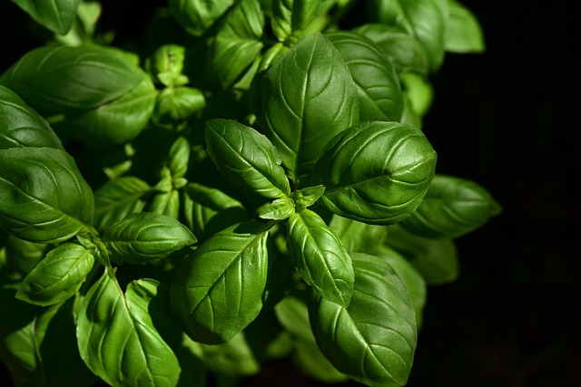 when to add fresh herbs to cooking