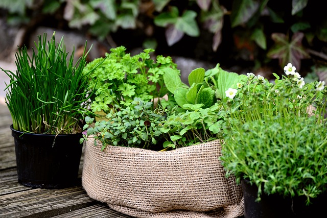 When to add fresh herbs to cooking
