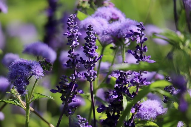 when to add fresh herbs to cooking