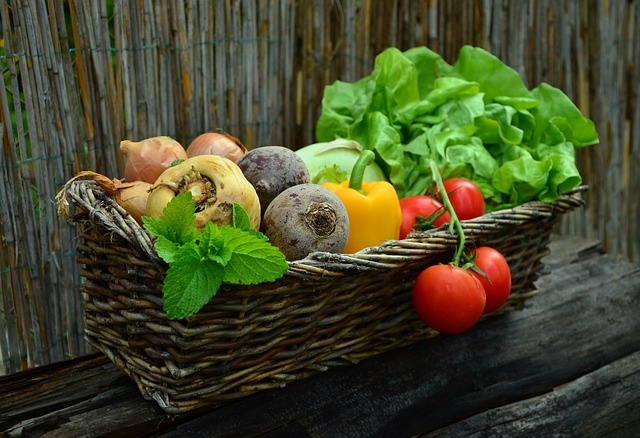 how to keep rabbits out of our vegetable garden
