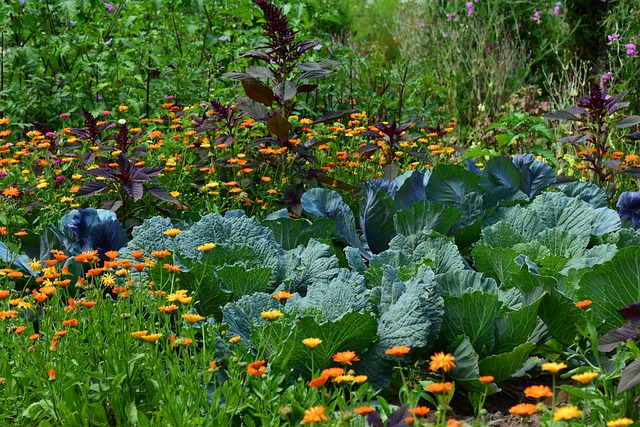 How To Improve Clay Soil For A Vegetable Garden