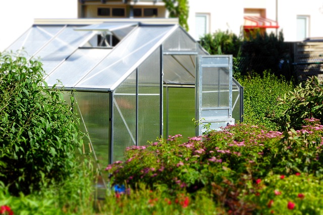 How To Set Up A Small Greenhouse