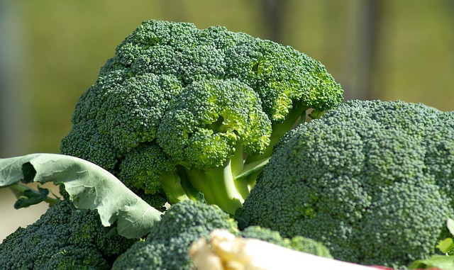 The Best Way To Grow Broccoli