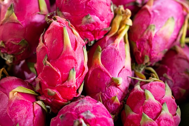 What Is The Best Way To Grow Dragon Fruit