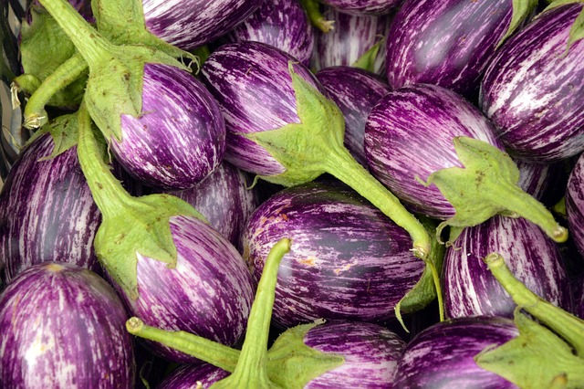 the best way to grow egg plant